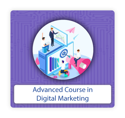 Advanced Course in Digital Marketing